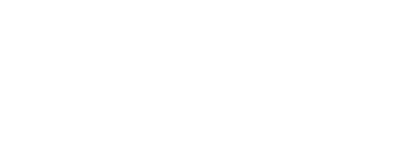 IDM